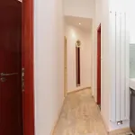 Ziti Citi * بودابست