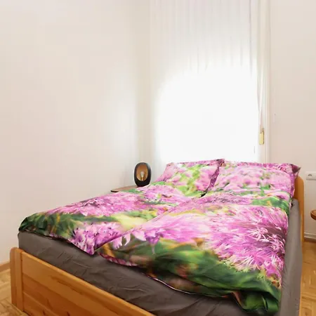 Ziti Citi * Budapest